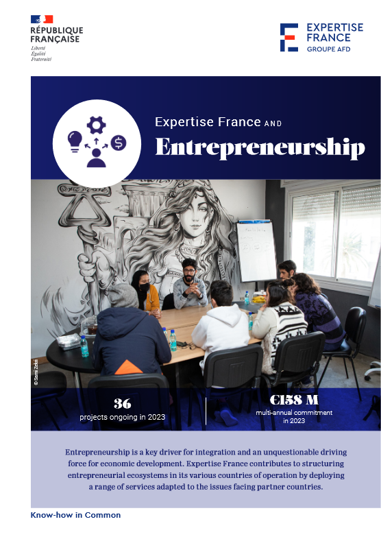 Cover Expertise France and Entrepreneurship