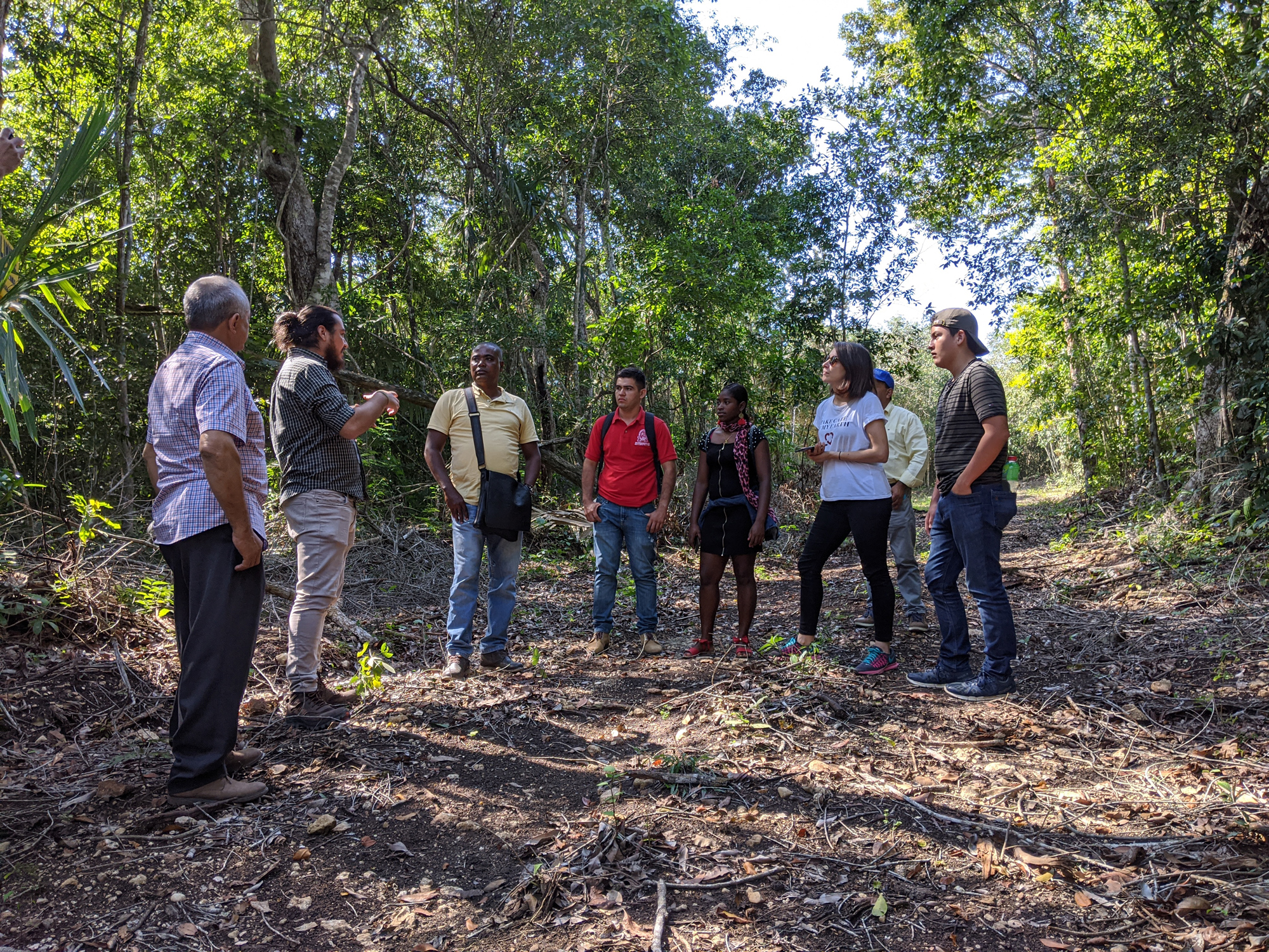 Développement durable de la forêt amazonienne