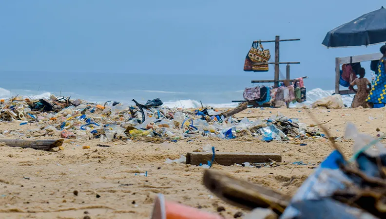 Marine debris